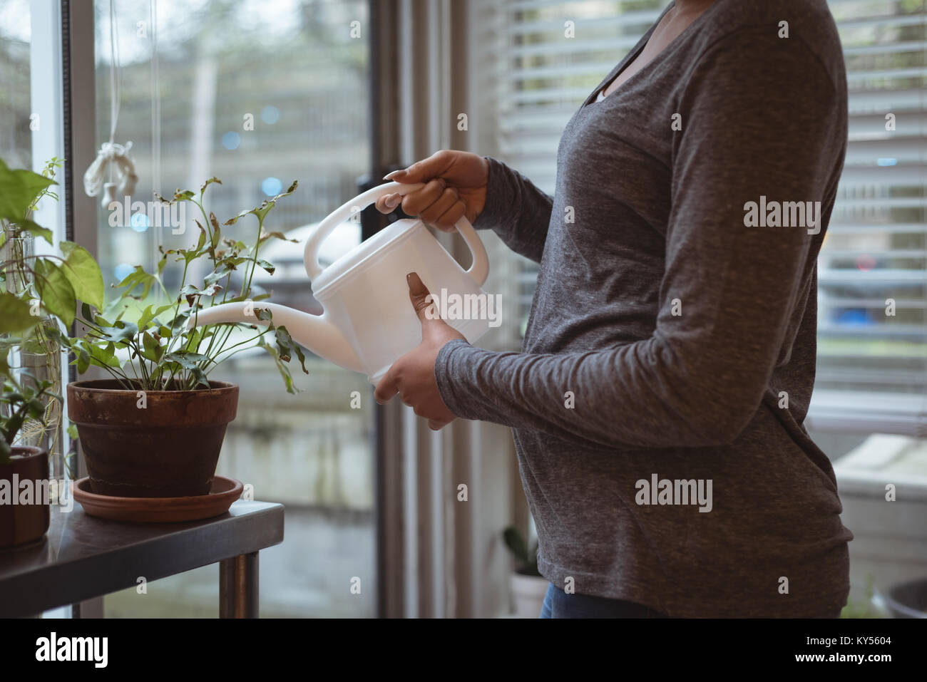 Young pregnant woman watering the plants at home Stock Photo Alamy