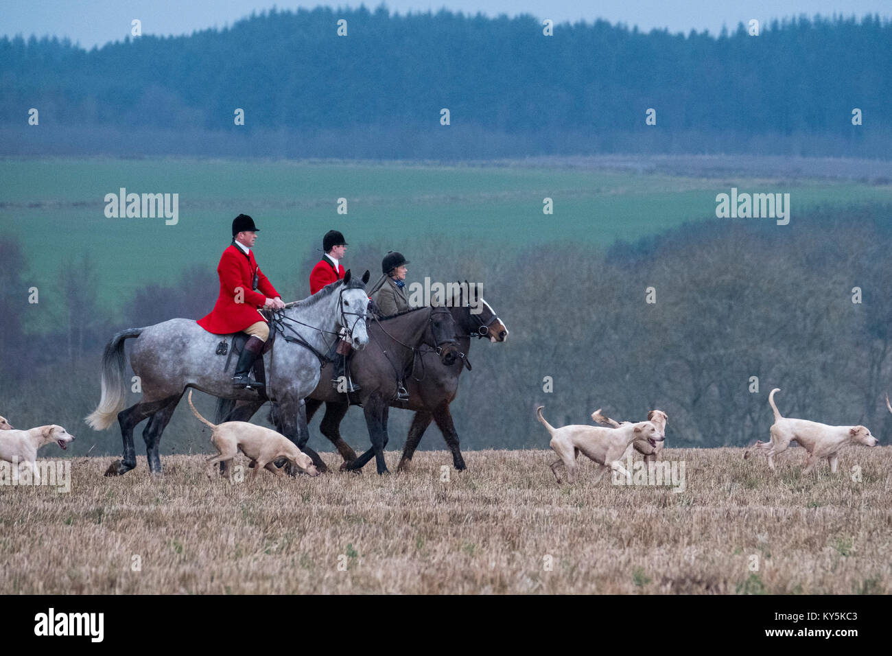 Ancrum, Rawflat /, UK. 13th January, 2018. Buccleuch Foxhounds at Rawflat, near Ancrum Caption: Huntsman Tim Allen (2014 - )(left red jacket) with the Duke of Buccleuch's Hunt Foxhounds on Saturday 13th January in the hills near to Ancrum, Jedburgh, a turnout of around 60 mounted supporters falling the days hunt. ( Credit: Rob Gray/Alamy Live News Stock Photo