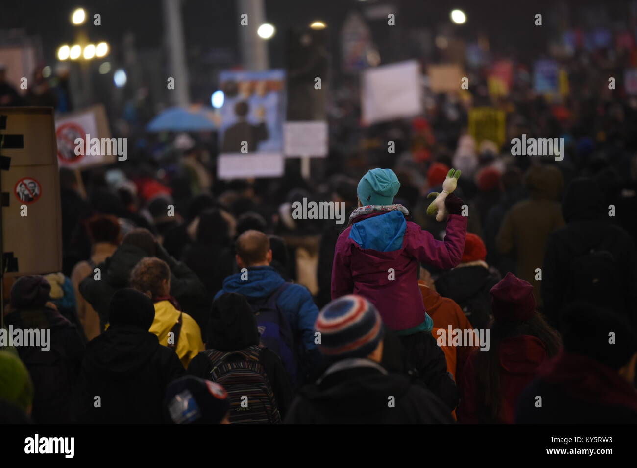 Vienna, Austria. 13th Jan, 2018. protester during an anti-government demonstration. Credit: Vincent Sufiyan/Alamy Live News Stock Photo