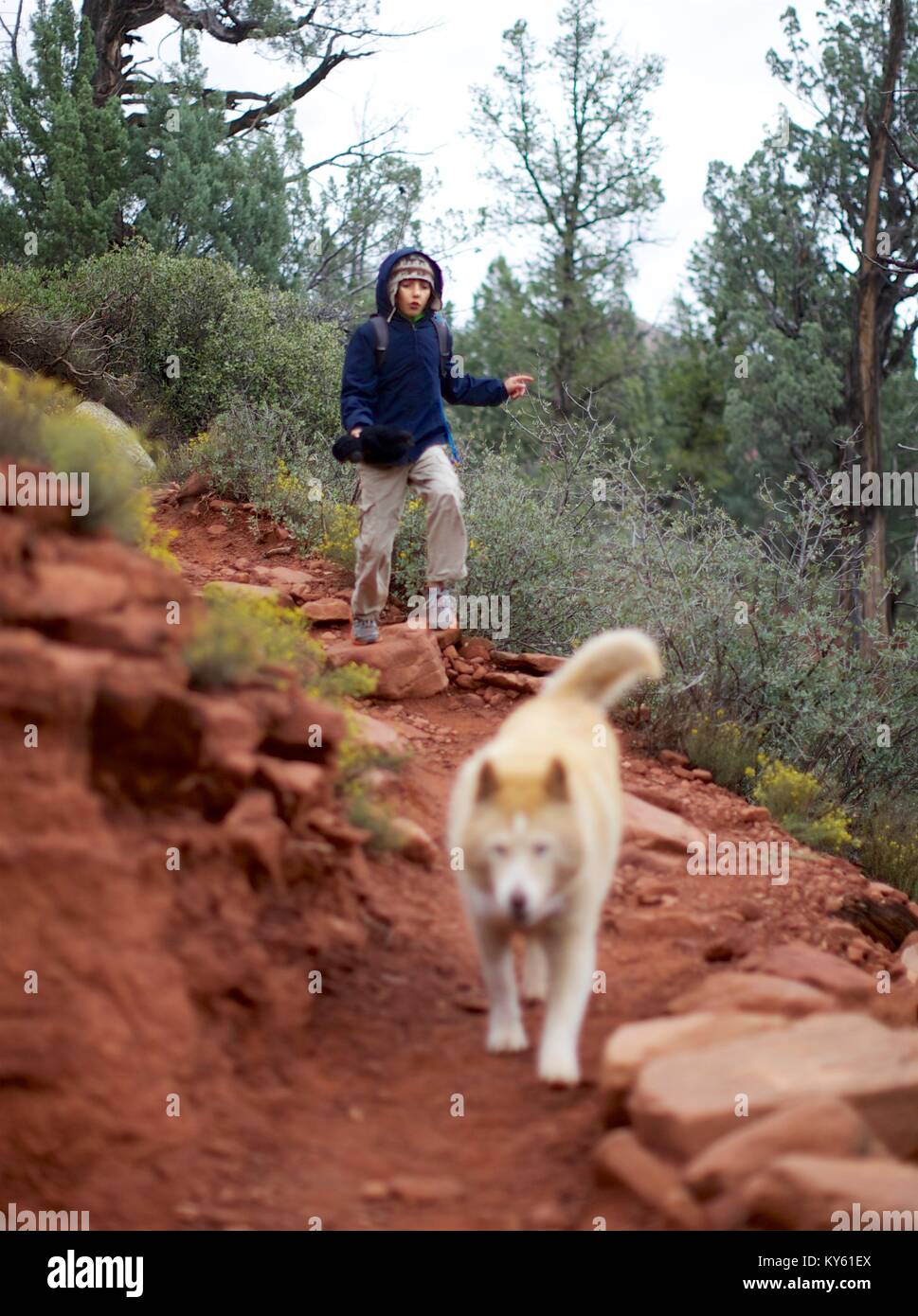 A boy and his dog hiking Stock Photo