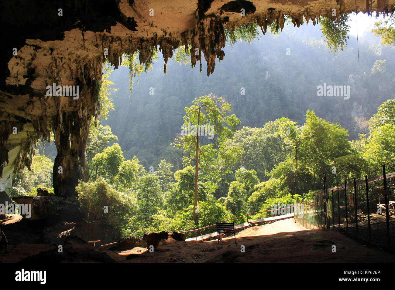 Entrance of big cave in Niah national park, Borneo, Malaysia Stock Photo