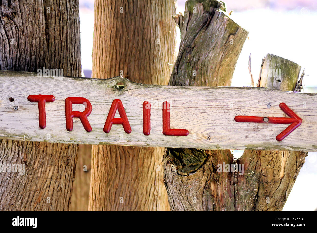 Hand-made sign showing direction on Trail Stock Photo
