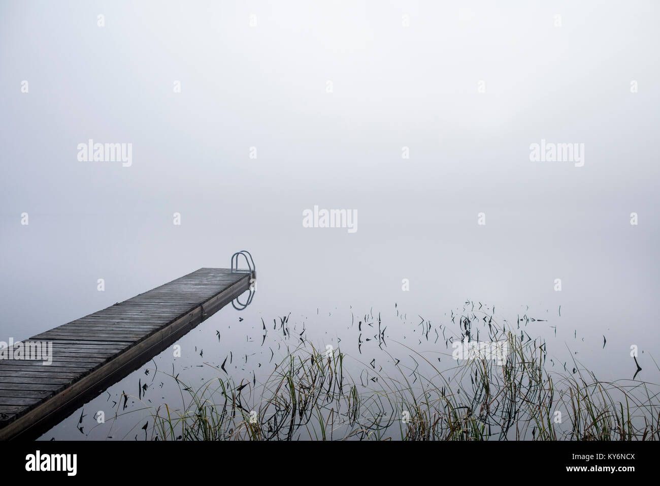 Steep Steps Leading To Lake Dock Stock Image - Image of steps, pond:  220289845