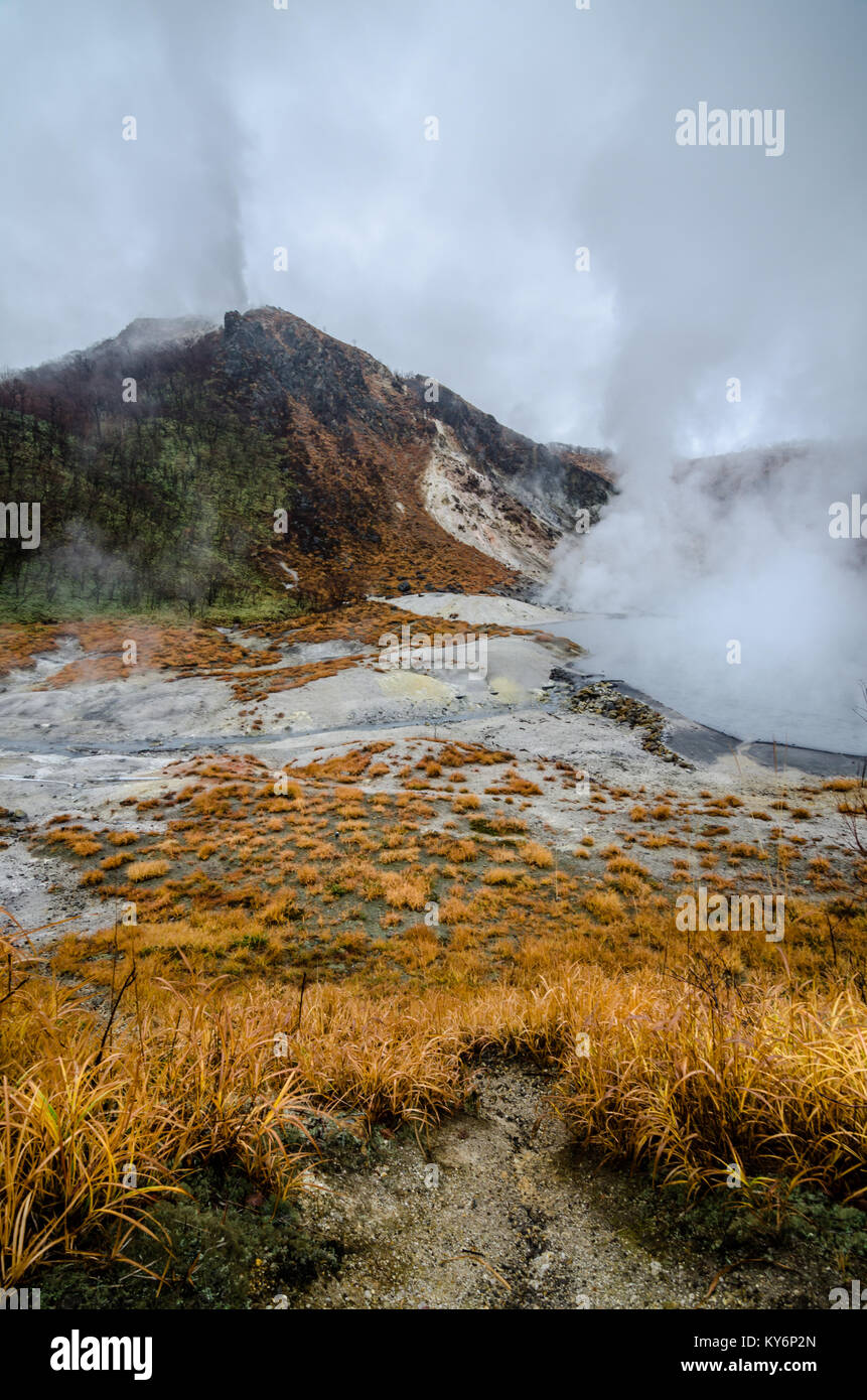 Beautiful valley of Jigokudani or 'Hell Valley', located just above the town of Noboribetsu Onsen, which displays hot steam vents. Stock Photo