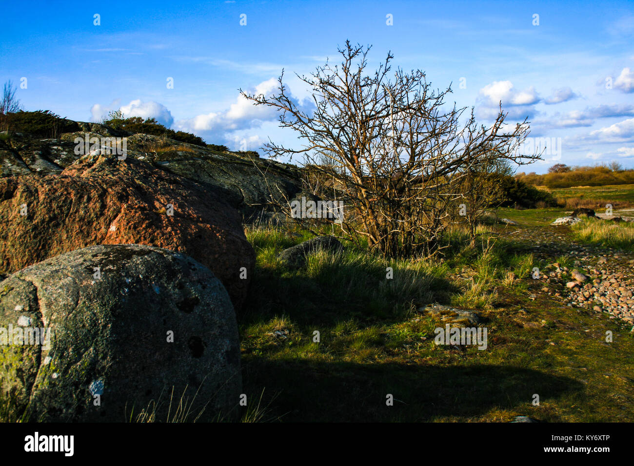 Parks With Rocks beautiful park with rocks and trees Stock Photo - Alamy