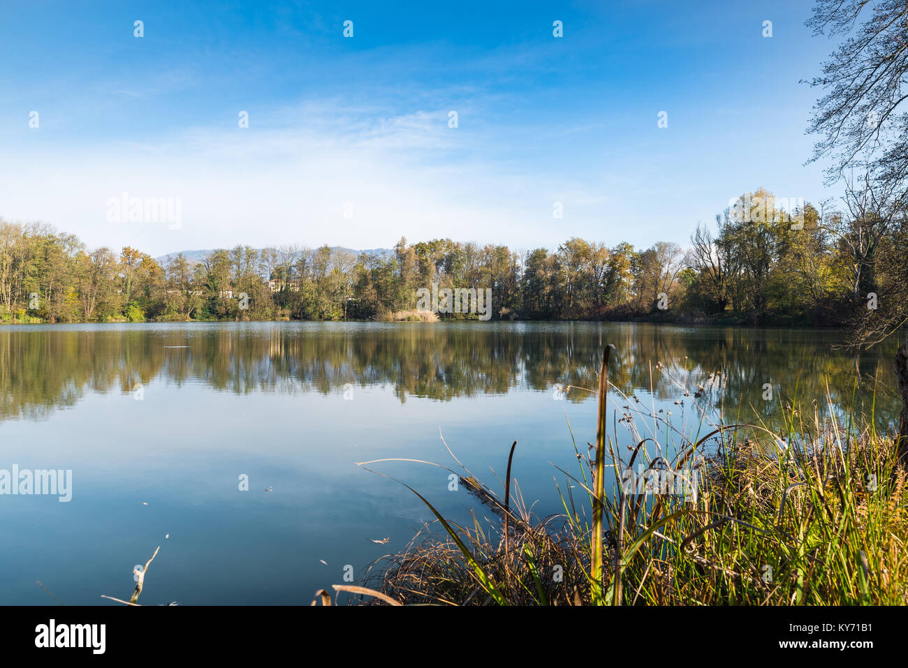 Small lake called pond or quarry of the Furnaces at the nature reserve Brabbia marsh, province of Varese, Italy Stock Photo