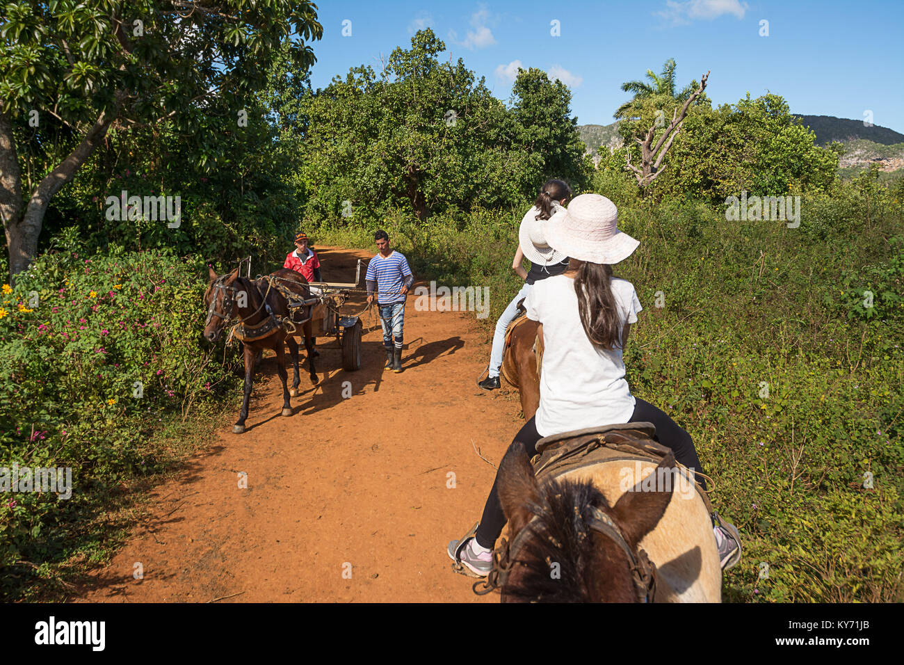 Vinales, Cuba - december 5, 2017: Cohabitation between tourists on horseback and Cubans with the wagon in the valley of Vinales (Cuba) Stock Photo