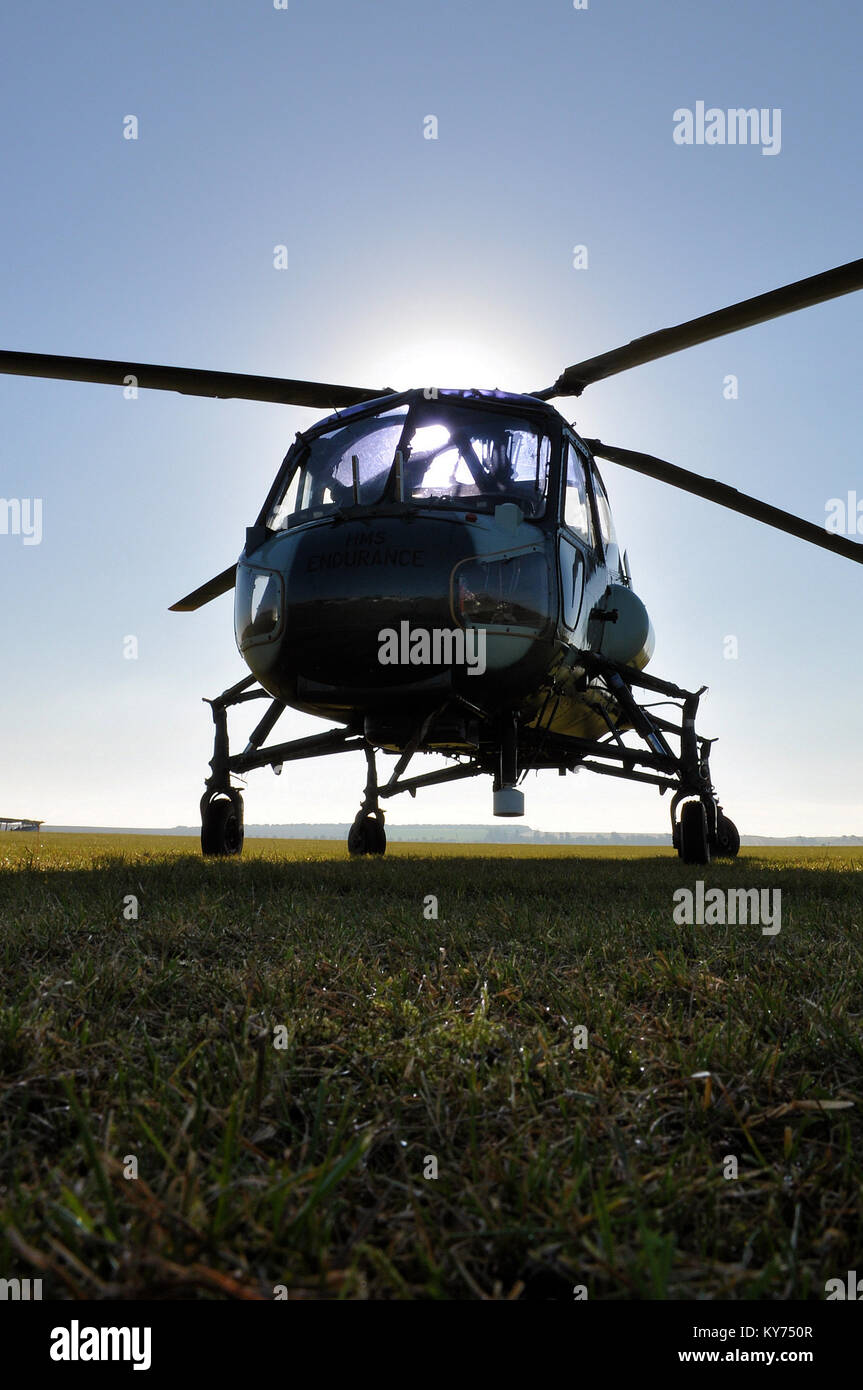 Westland Wasp vintage helicopter sitting on grass with dew early in the morning. Space for copy Stock Photo