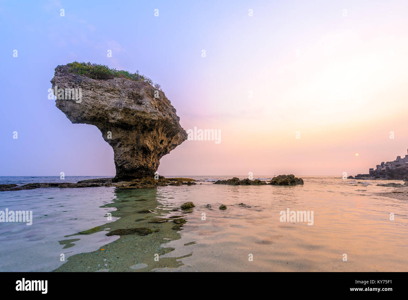 Flower Vase Coral Rock at Lamay island in Taiwan Stock Photo