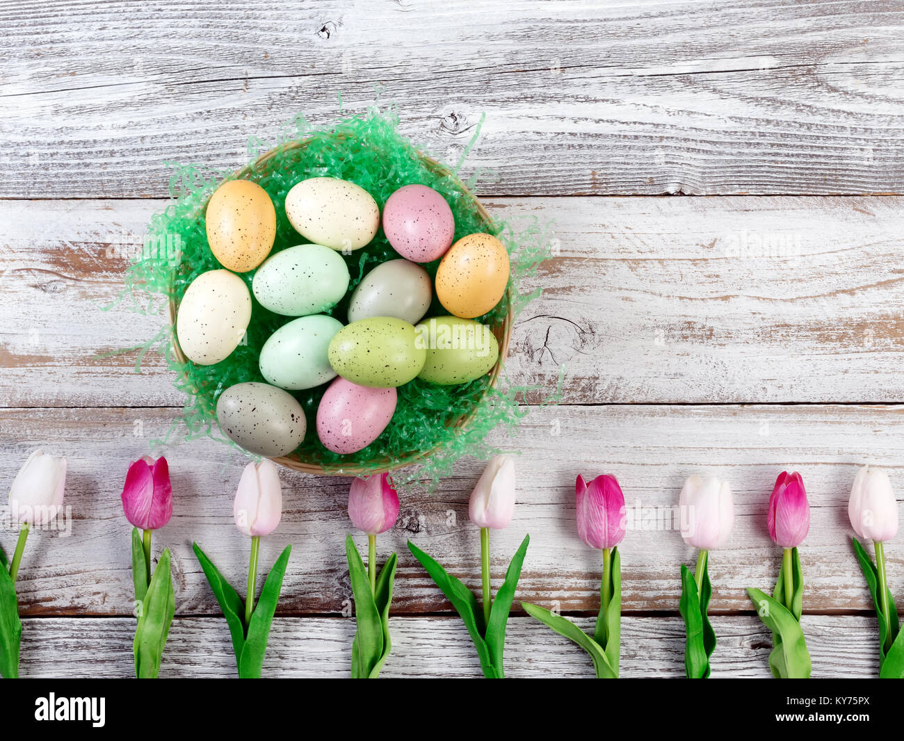colorful tulips and basket filled with eggs forming lower border on ...