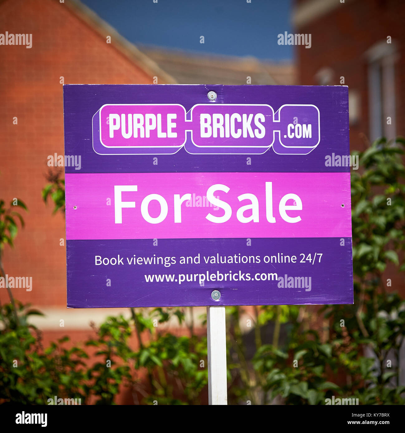 A Purple Bricks estate agents For Sale sign outside a house on a modern housing estate in Aylesbury, Buckinghamshire Stock Photo