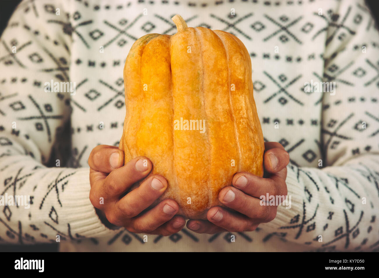 Man Hands holding orange Pumpkin with sweater on background Autumn seasonal concept symbol of Halloween holiday trendy style Stock Photo