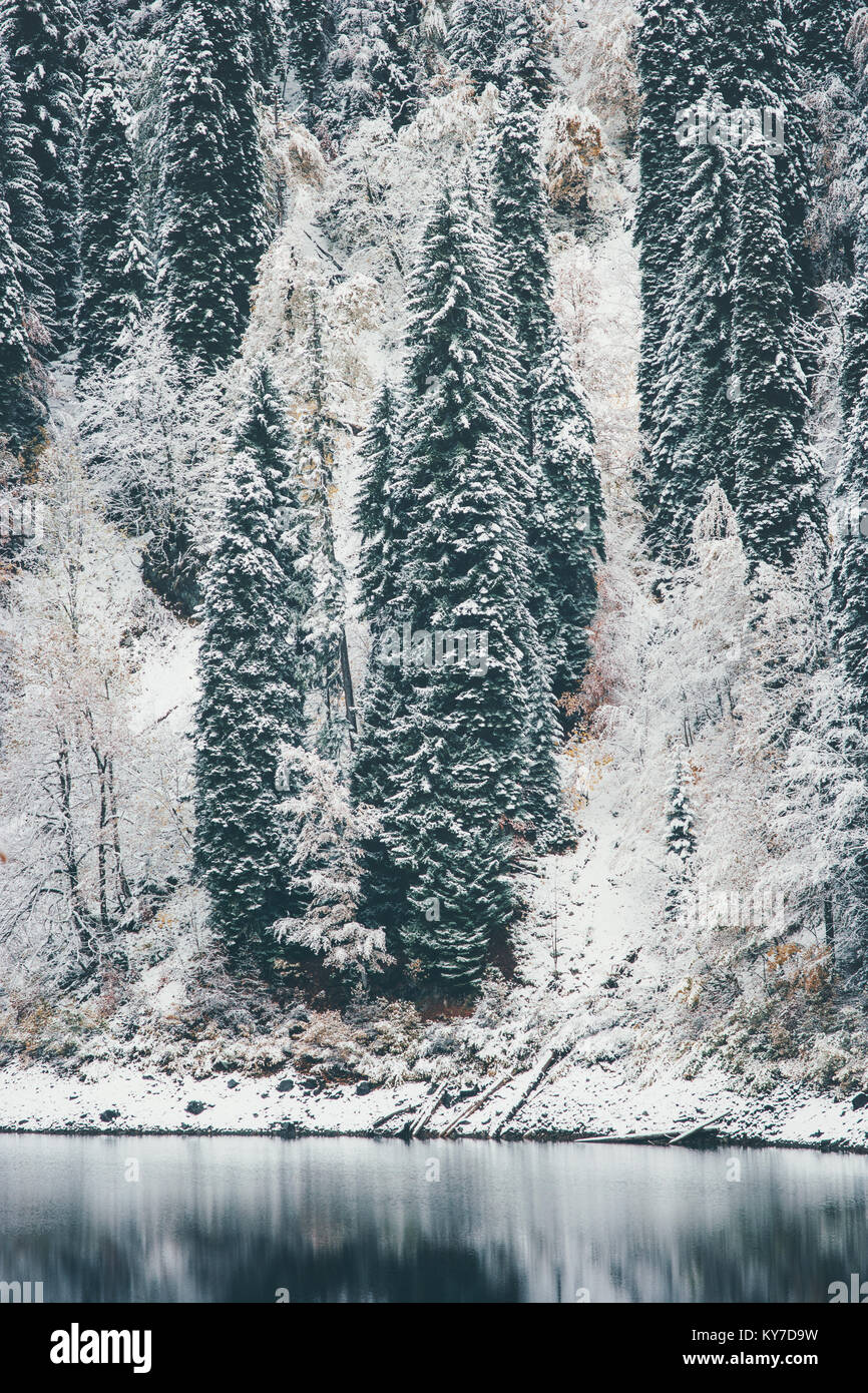 Landscape lake coniferous forest hi-res stock photography and images ...