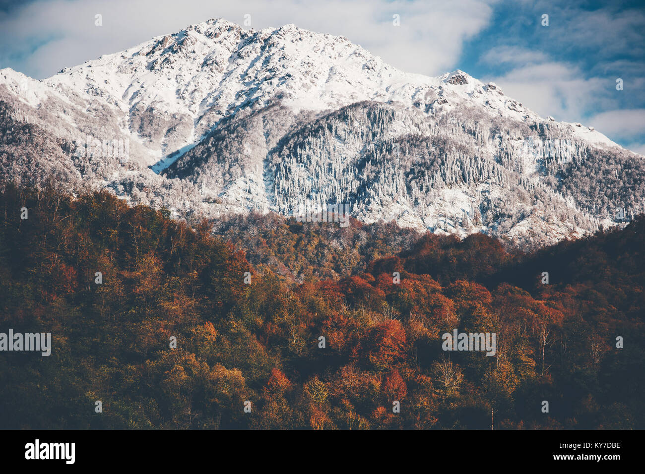 Aerial view snowy forest landscape hi-res stock photography and images ...