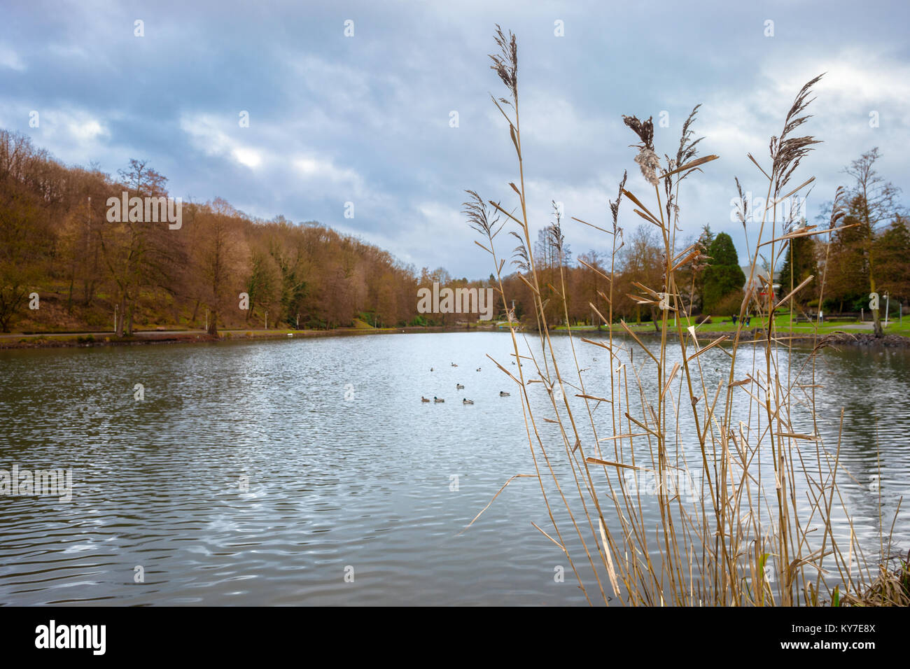 DeutschFranzoesischer Garten, a Park in Saarbrucken, Germany Stock