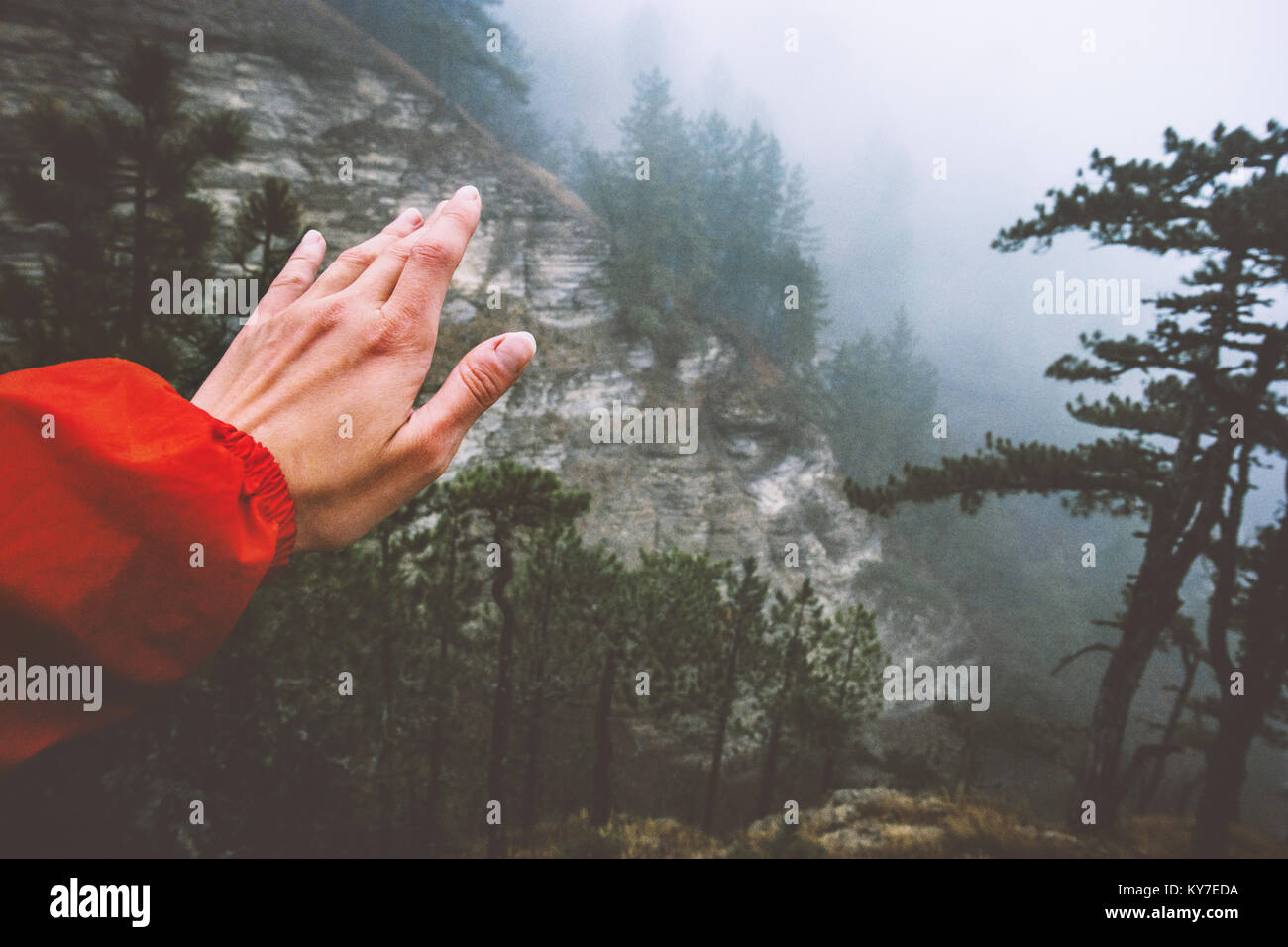 Hand selfie and foggy Forest Landscape scenic view Travel serene scenery rainy day Stock Photo
