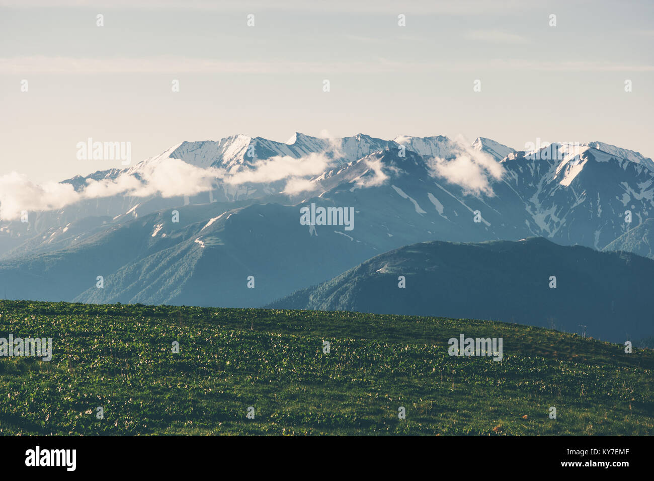 Serene park landscape hi-res stock photography and images - Alamy
