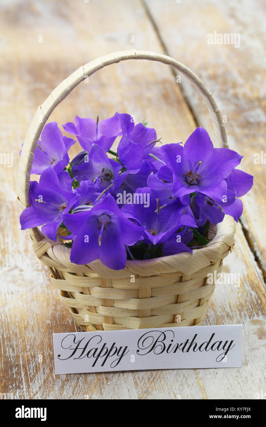 Happy birthday card with wicker basket filled with purple Campanula bell flowers on rustic wooden surface Stock Photo