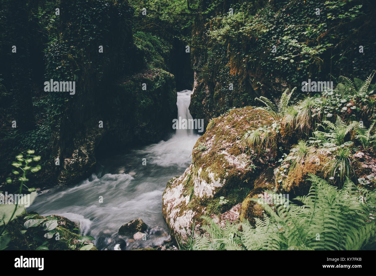 Tropical rainforest seasons hi-res stock photography and images - Alamy