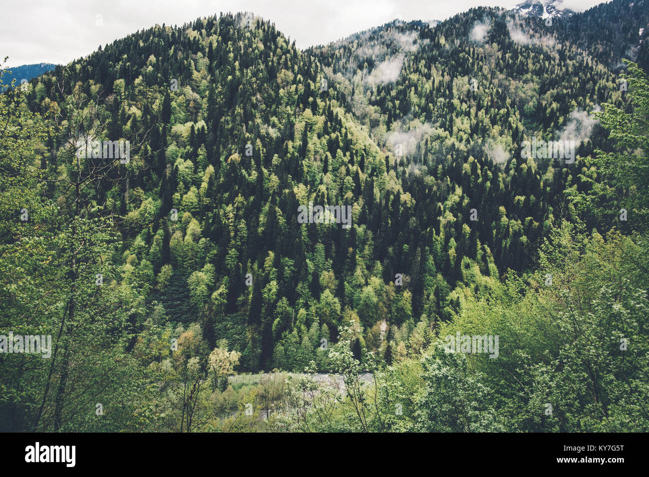 Aerial view serene hi-res stock photography and images - Alamy