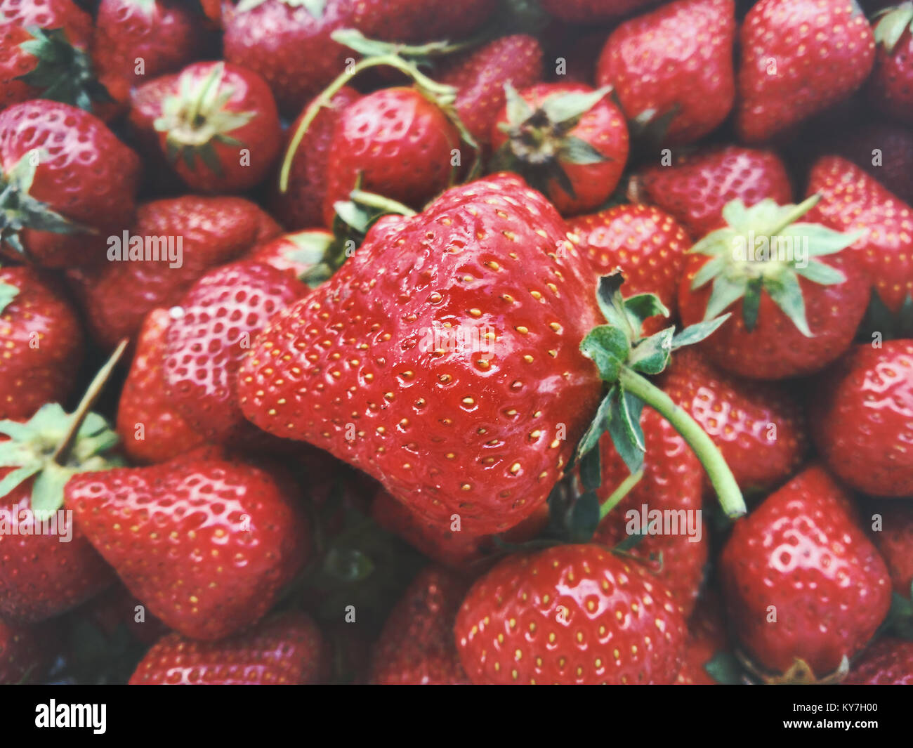Fresh Strawberries organic concept sweet summer berries background healthy food Stock Photo