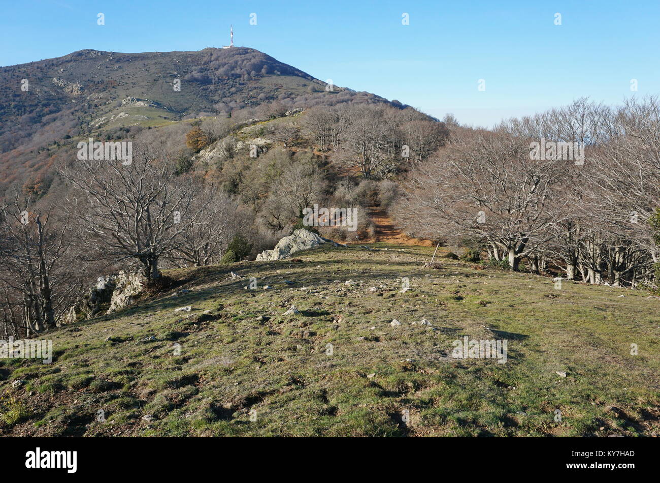 Mountain landscape near the peak Neulos in the Albera Massif between France and Spain, Pyrenees Orientales, Catalonia Stock Photo