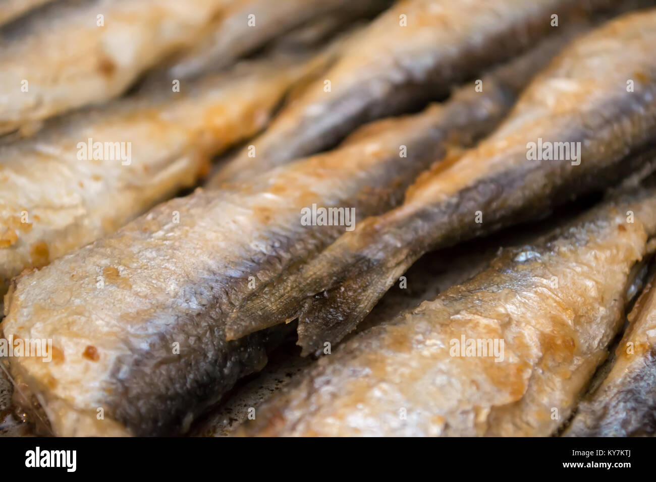Fried fish herring, Fried fish in a frying pan Stock Photo Alamy