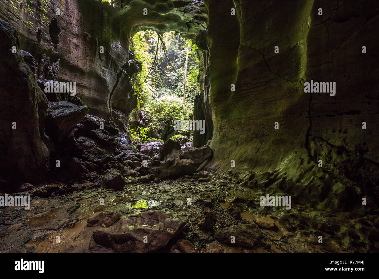 Bat cave, a limestone cave near Bukit Lawang in Gunung Leuser National