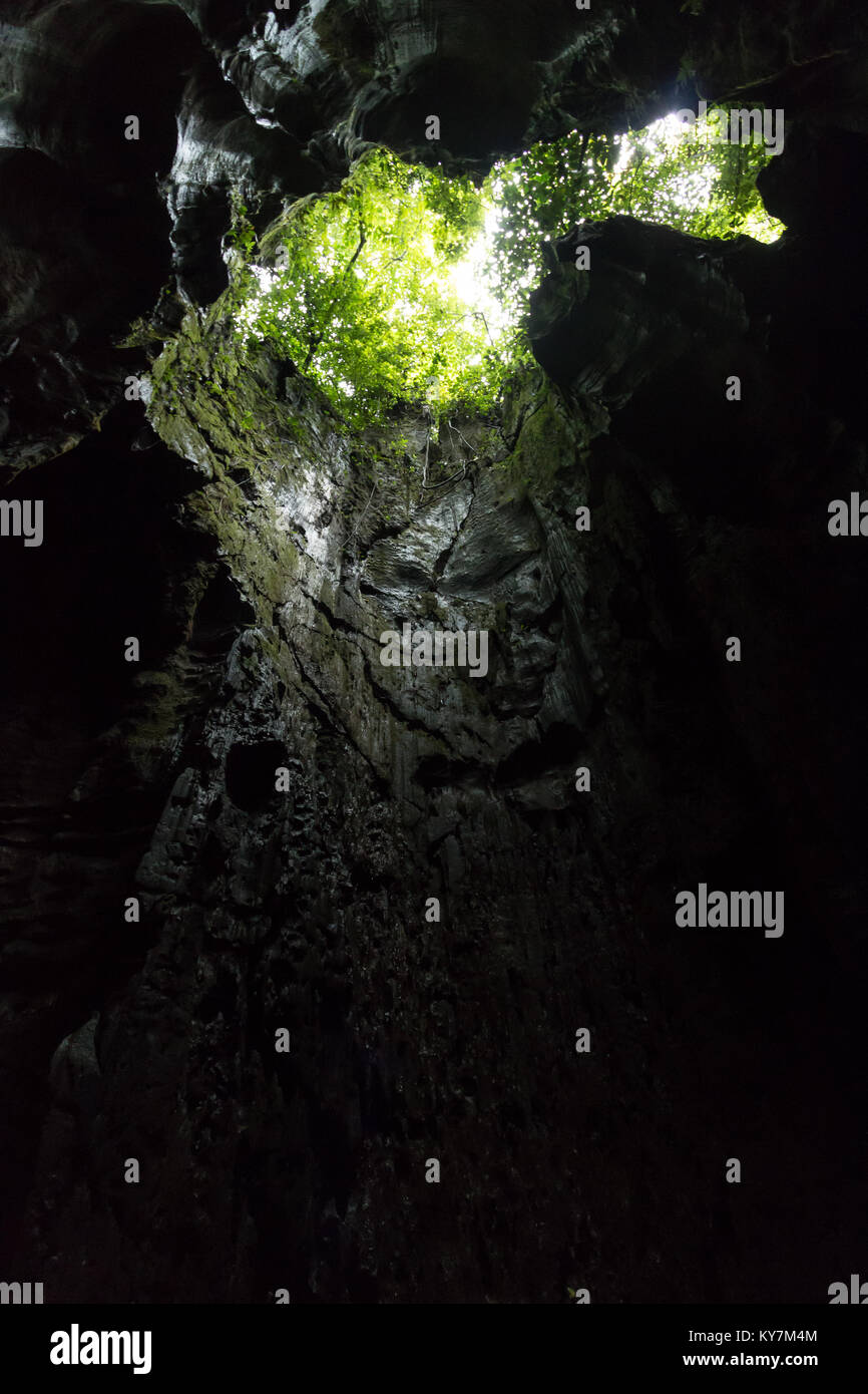 Bat cave, a limestone cave near Bukit Lawang in Gunung Leuser National