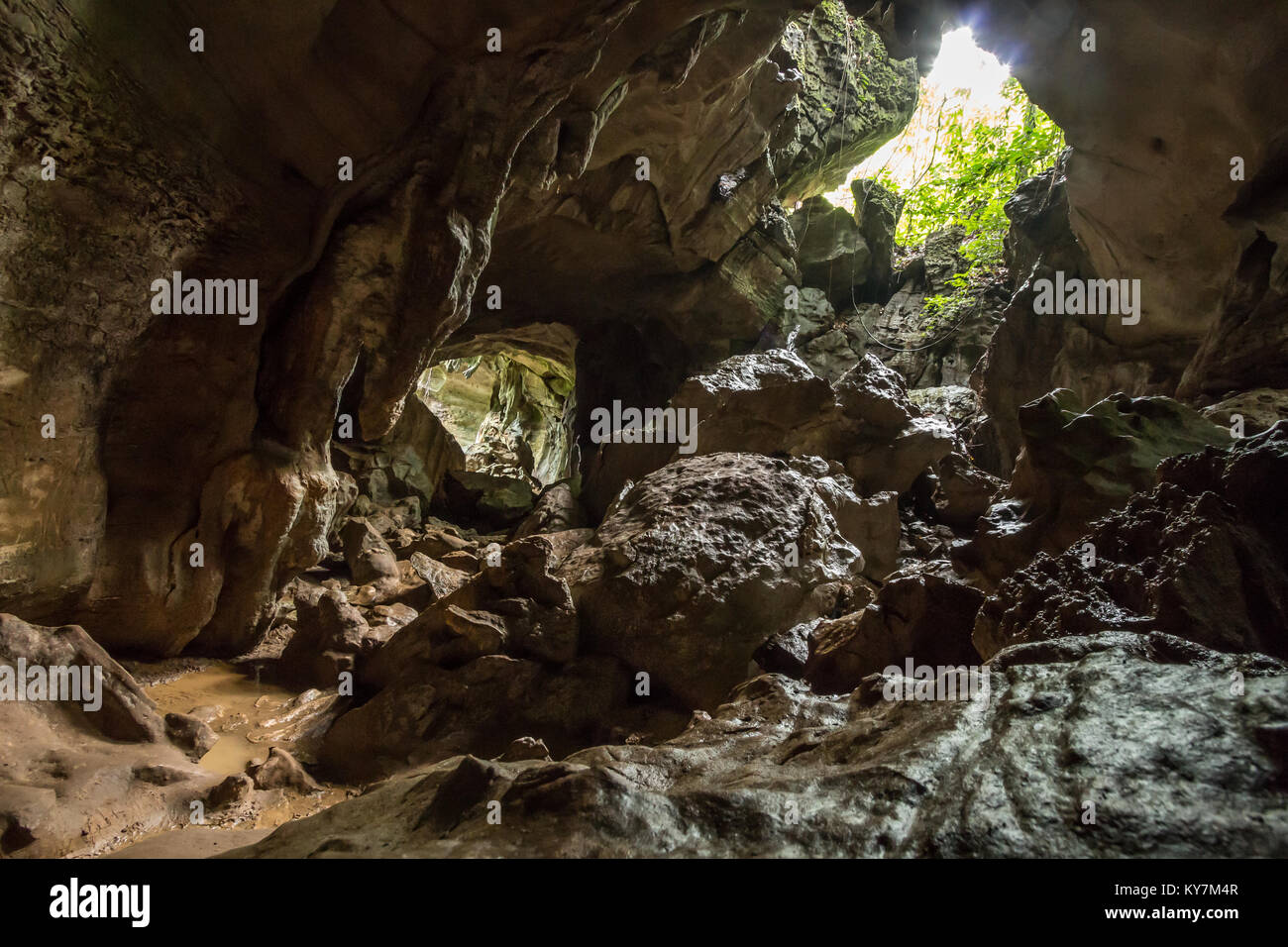 Bat cave, a limestone cave near Bukit Lawang in Gunung Leuser National