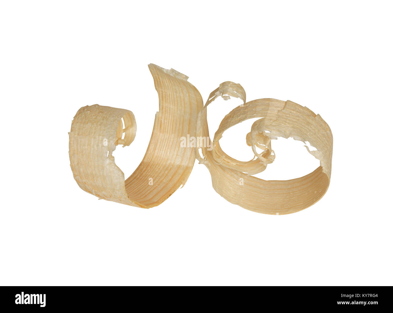 Two wood shavings isolated on white background with clipping path Stock Photo