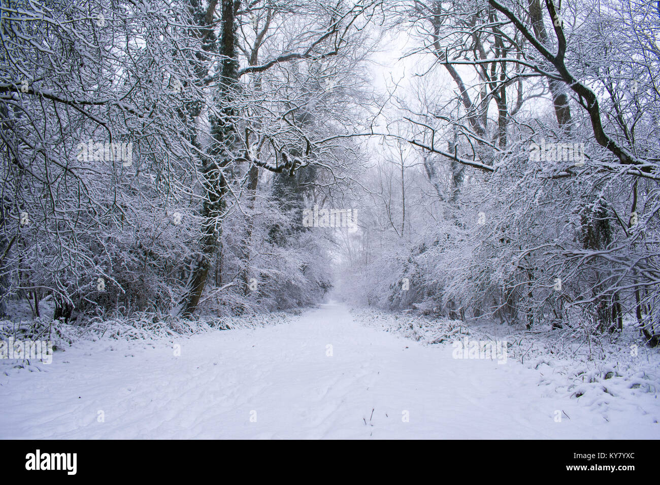 Village in forest snowy hi-res stock photography and images - Alamy