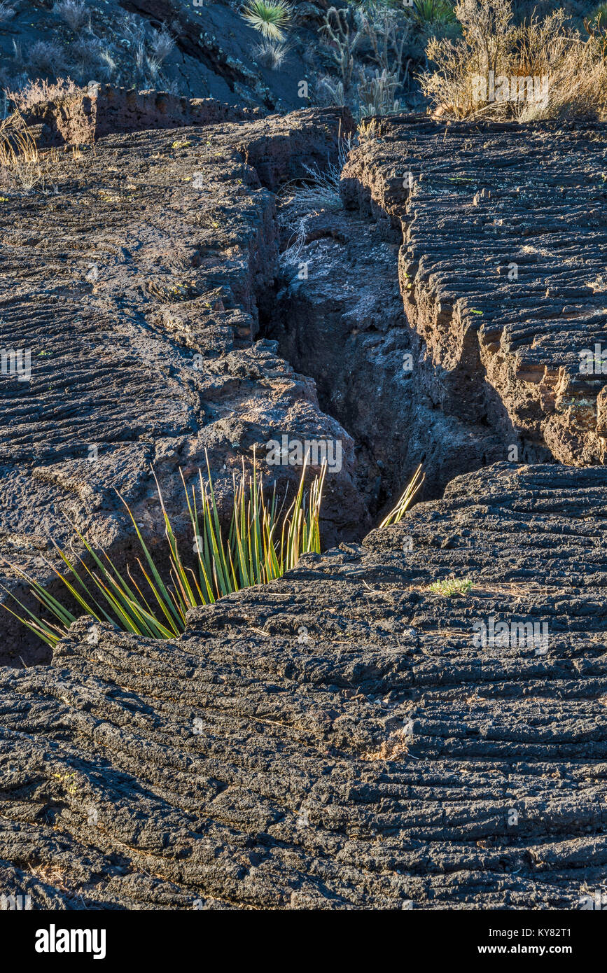 Deep cracks in Pahoehoe lava field, Carrizozo Malpais lava flow at Valley of Fires Recreation Area, Tularosa Basin near Carrizozo, New Mexico, USA Stock Photo