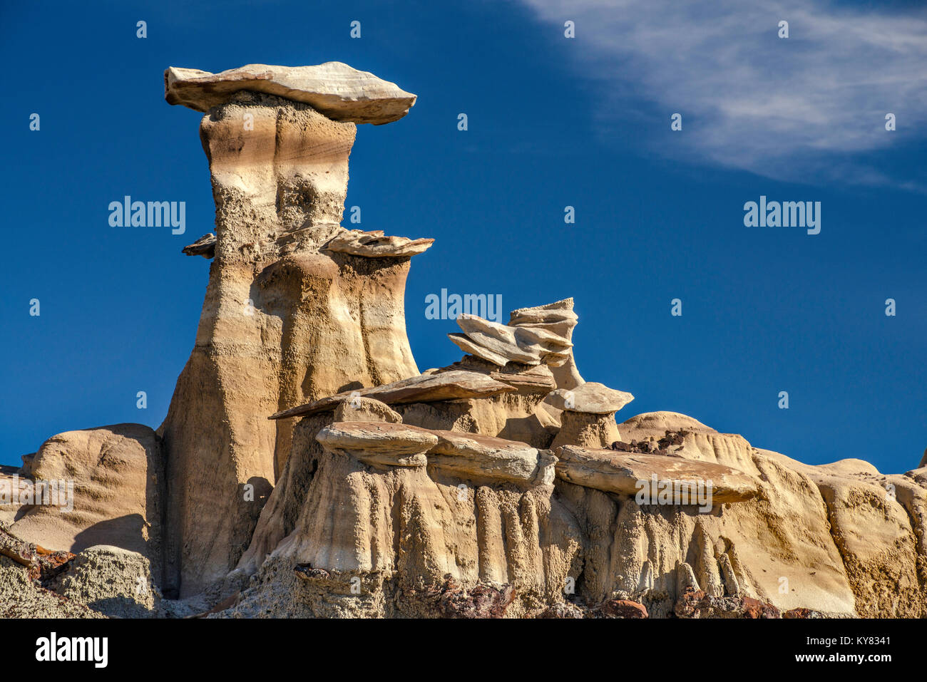 Brown Hoodoos area formations, Bisti De-Na-Zin Wilderness, New Mexico, USA Stock Photo