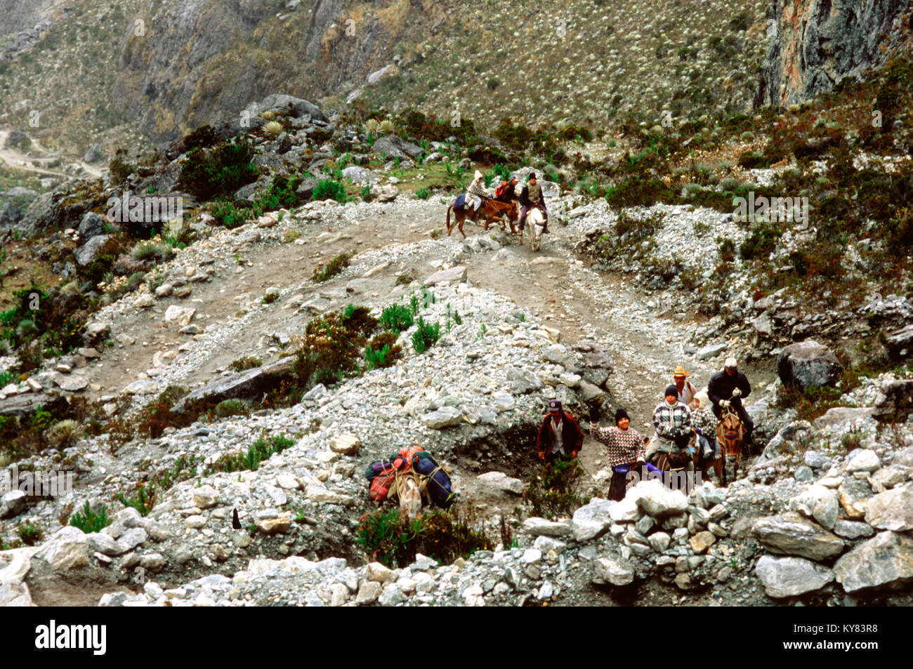 Horse ride in the mountain landscape on the way Loma Redonda to Los Nevados village in Merida Venezuela Stock Photo