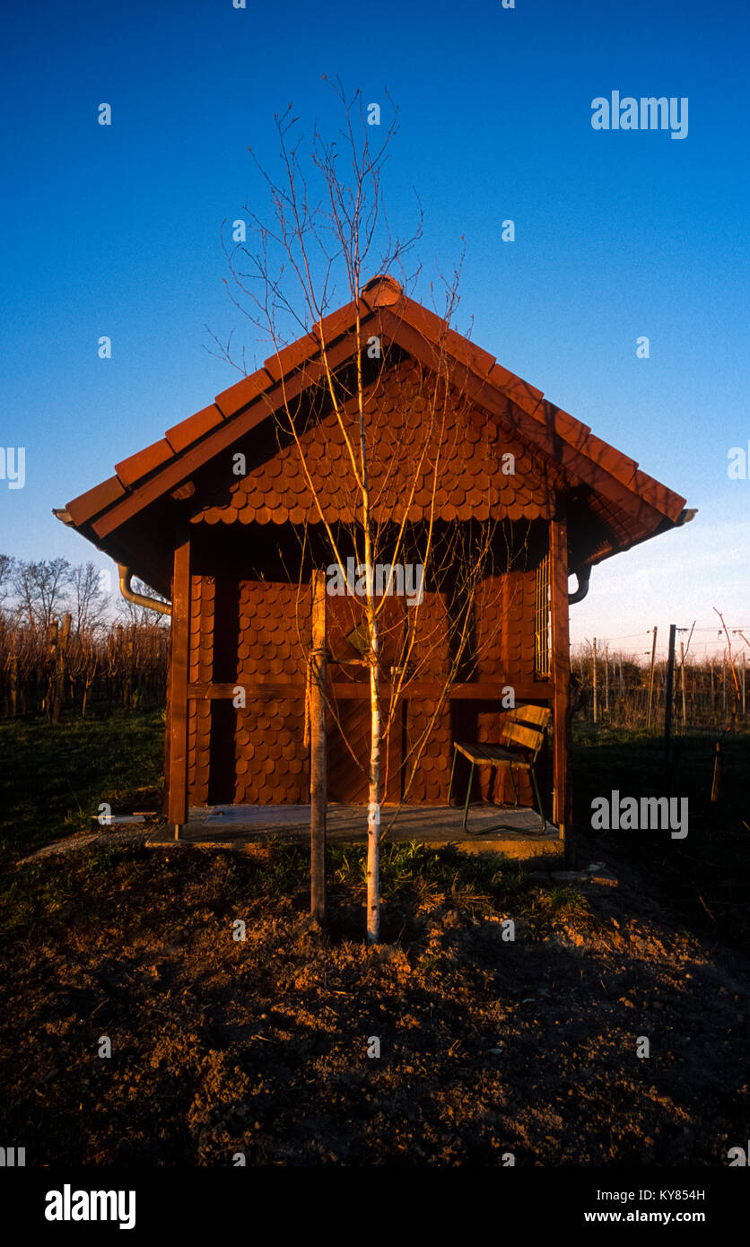 Vineyard hut near Weingarten Baden-Württemberg Germany Stock Photo