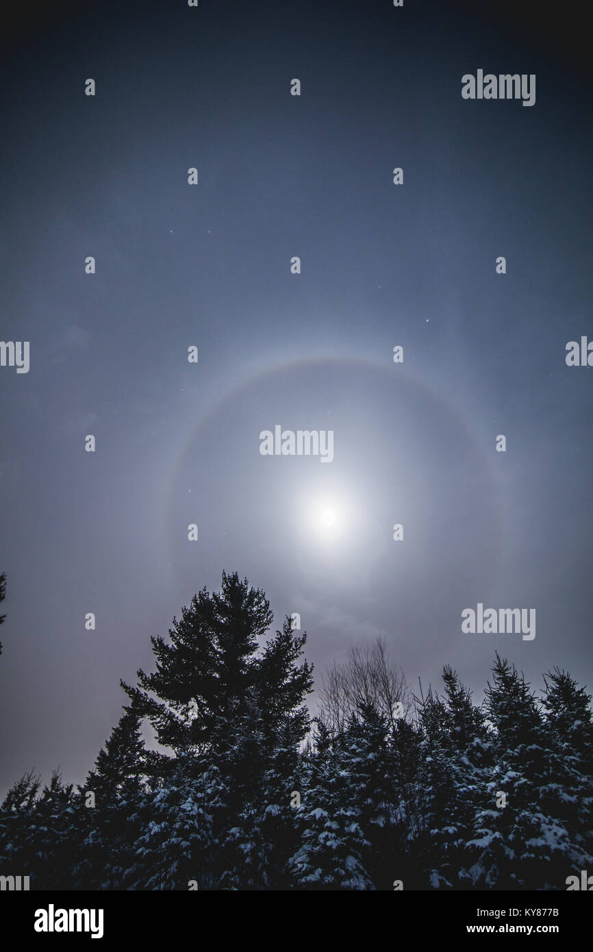 Lunar Halo around the Full Moon in Forest during the Winter Stock Photo