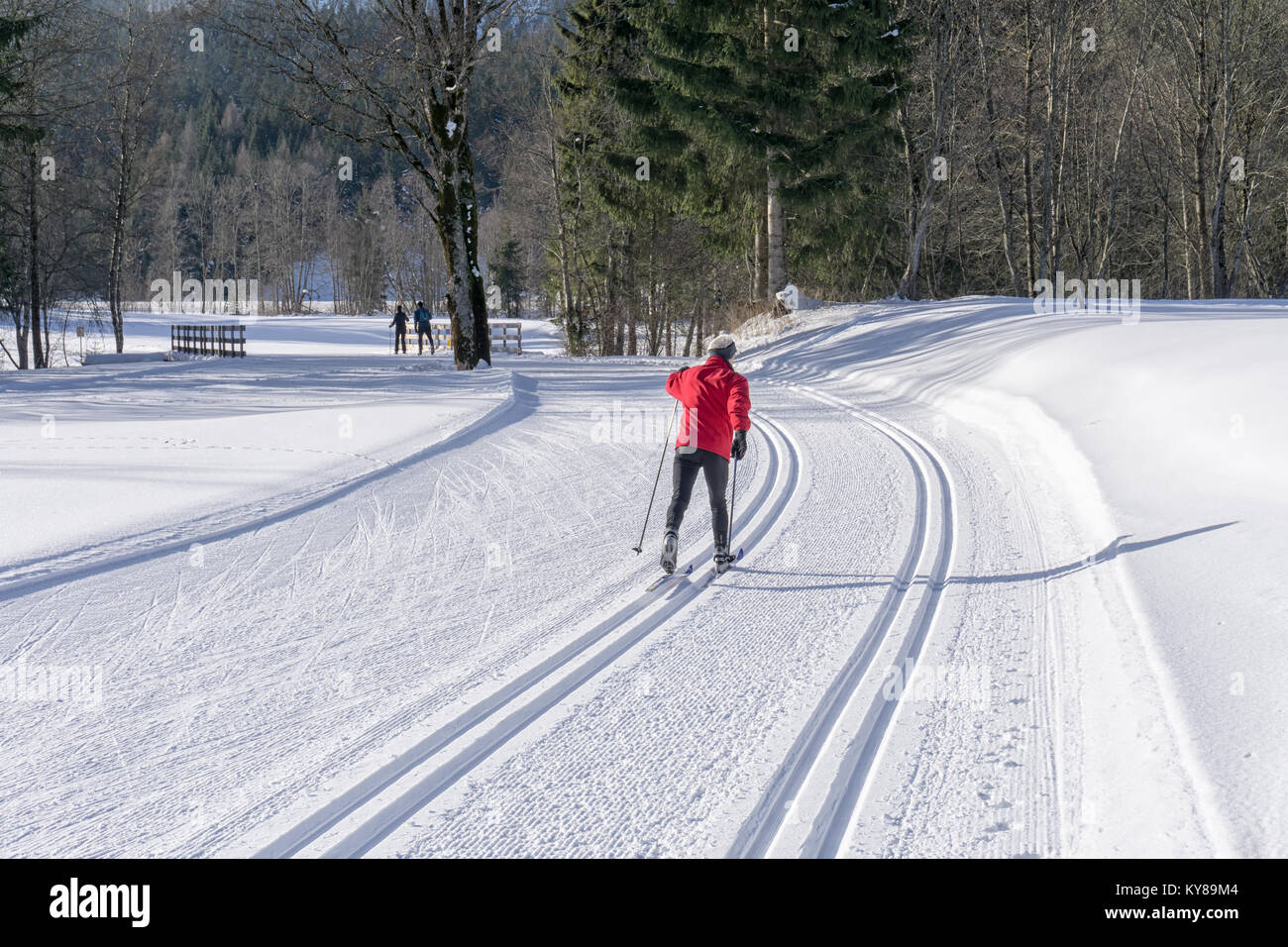 Groomed ski trails for cross country skiing with cross-country skier in red jacket in winter sunny day in mountains Stock Photo