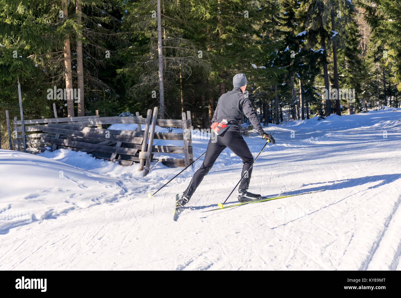 Cross-country Skier  runs on groomed ski track in sunny winter day. Stock Photo