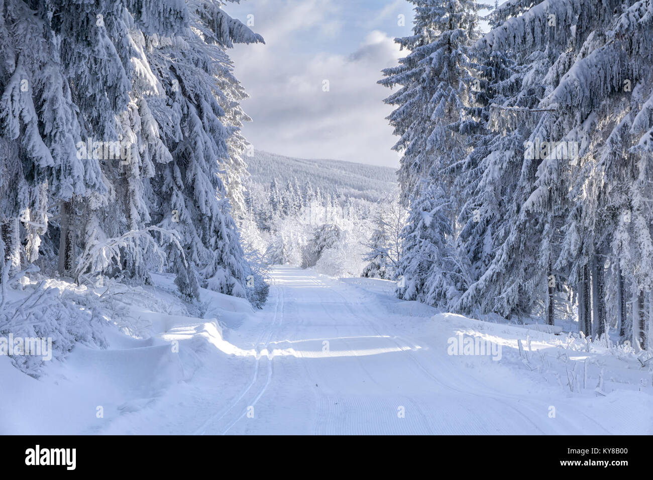 Groomed ski trail in sunny winter day on mountains road. Trees covered with hoarfrost and fresh snow illuminated by the sun, clouds on the blue sky. Stock Photo