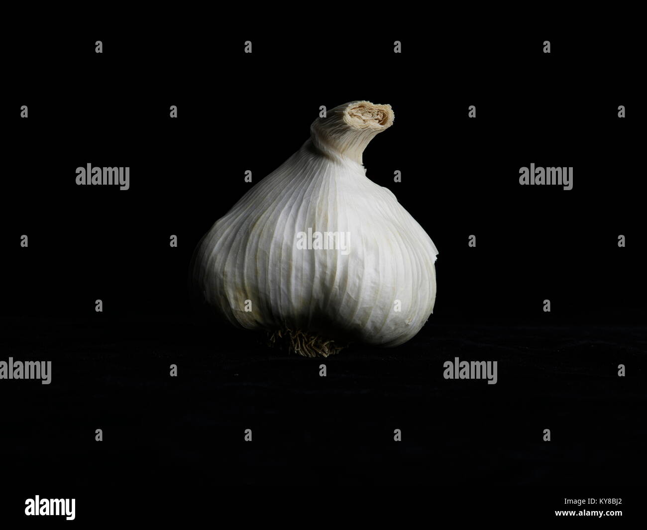 Garlic Bulb on Black Background - high resolution close up Stock Photo