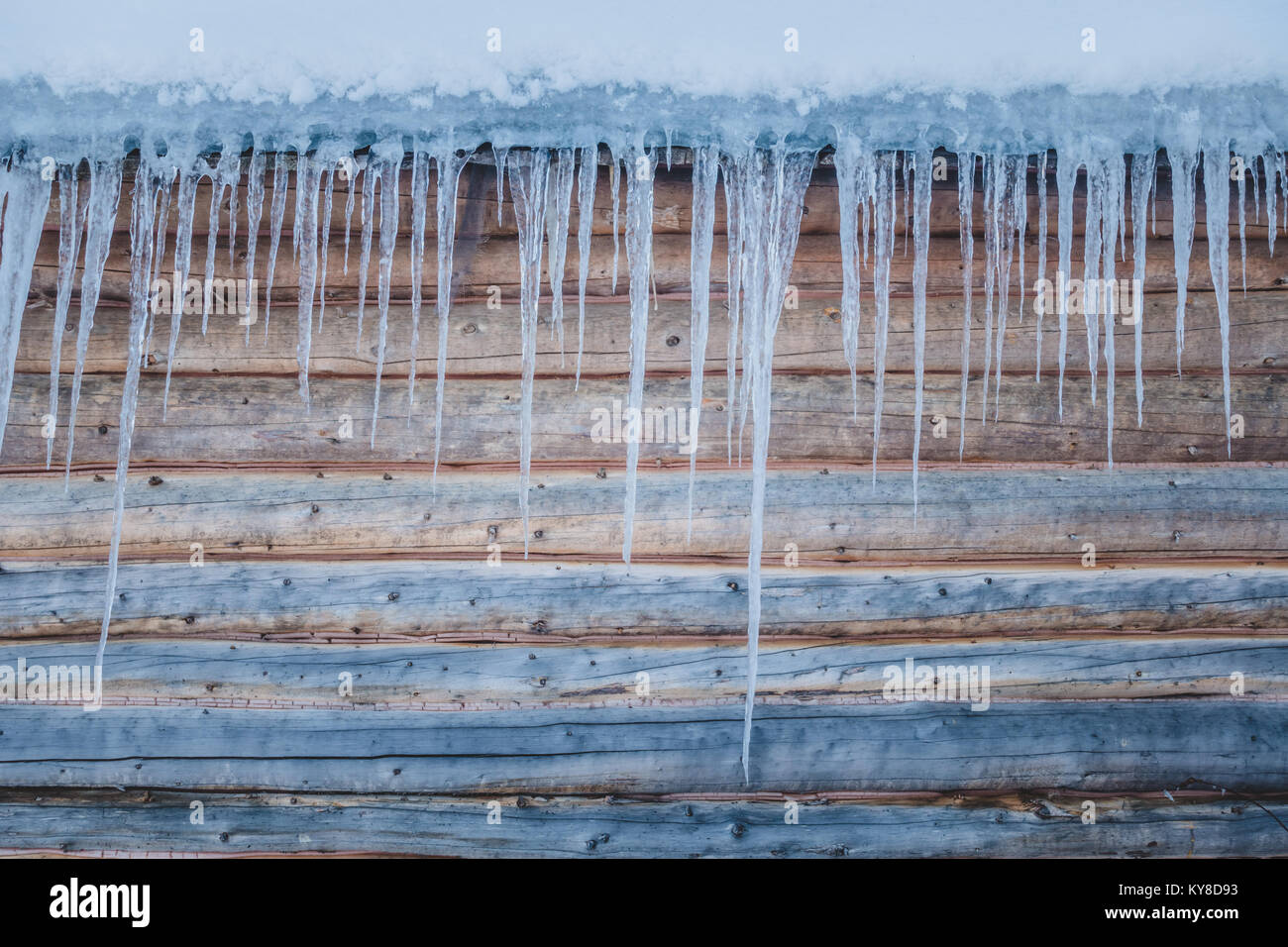 Canadian Log Wood Shack Icicles Showing a Insulation problem Stock Photo