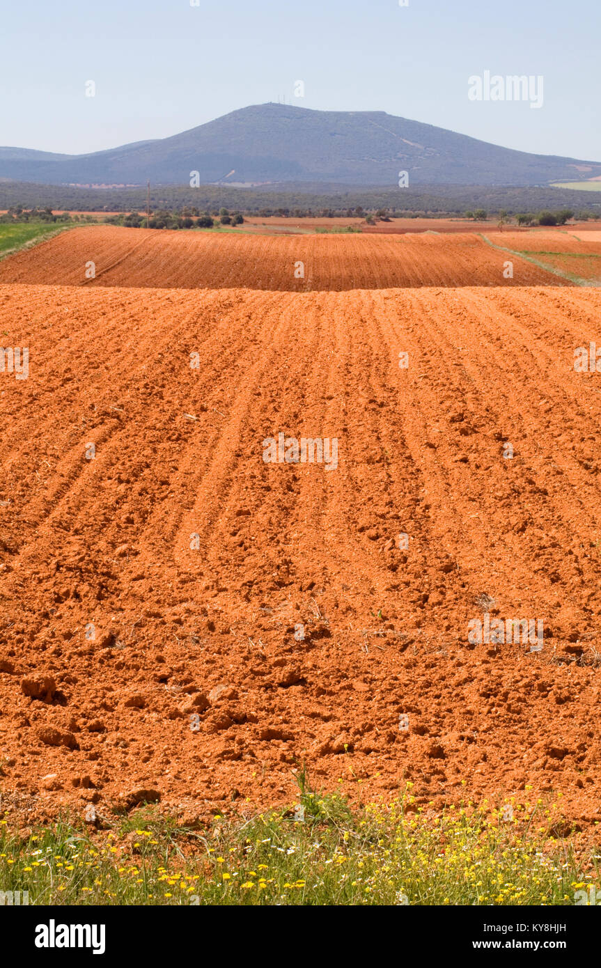 Fallow land hires stock photography and images Alamy