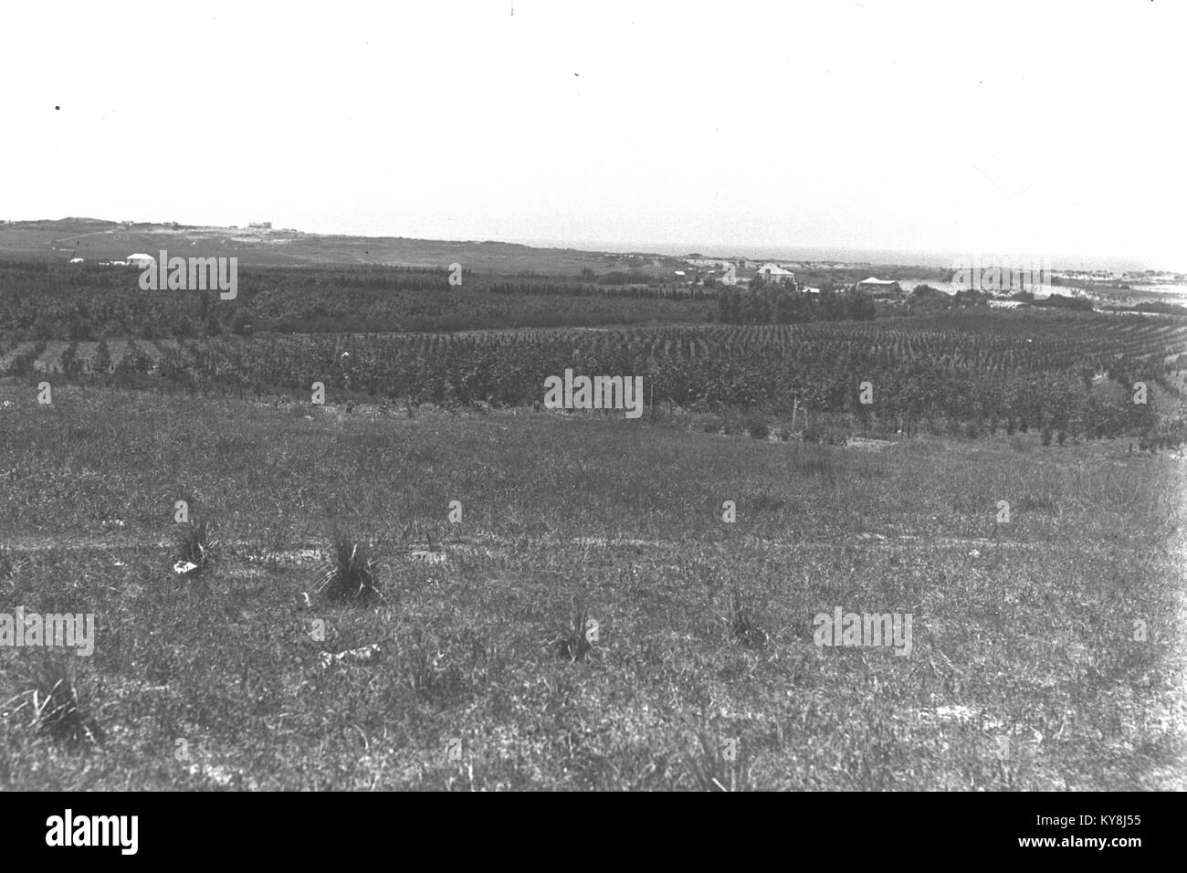 Agricultural plain Black and White Stock Photos Images Alamy