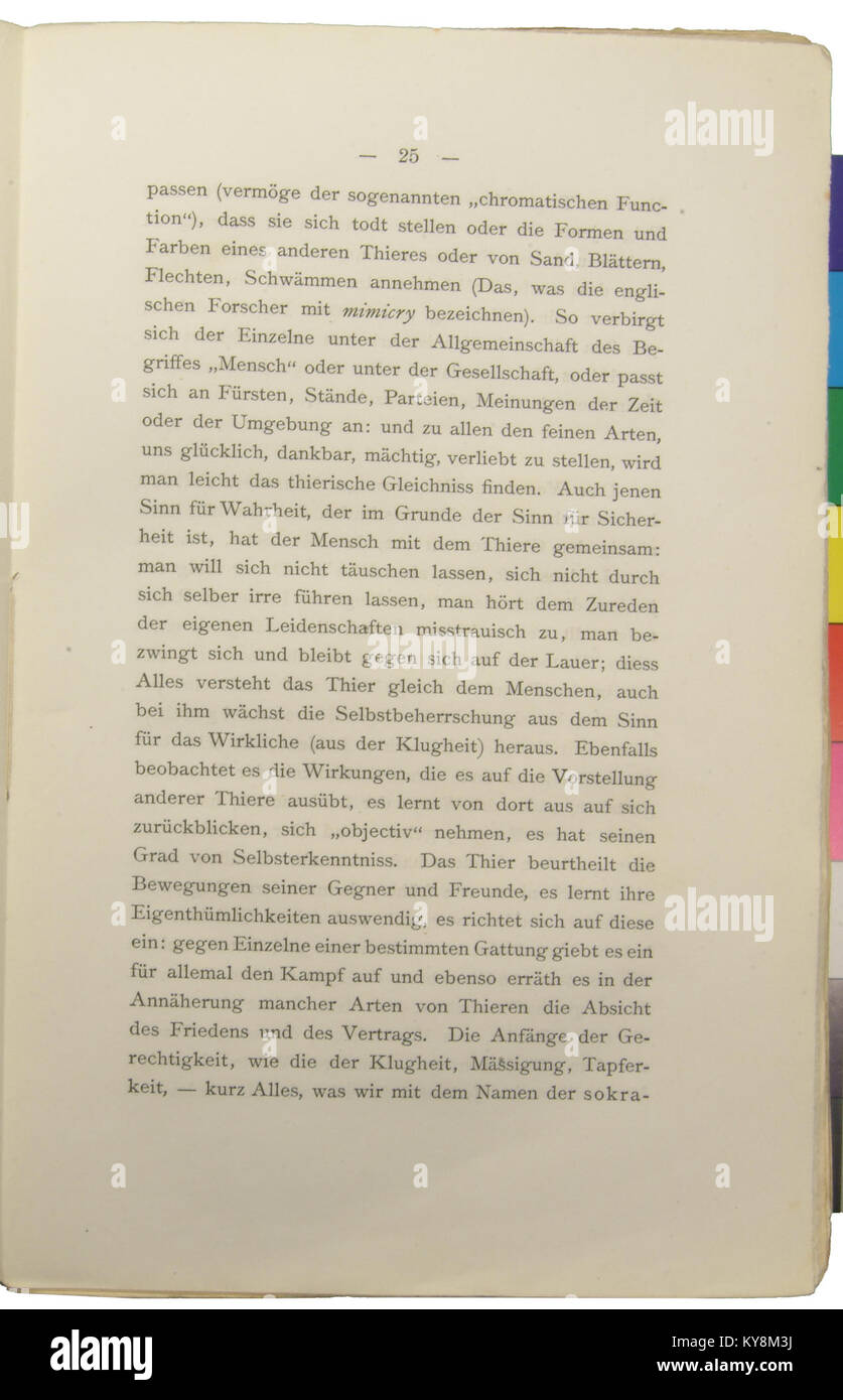 Nietzsche - Morgenröthe, 1881, p. 025 Stock Photo