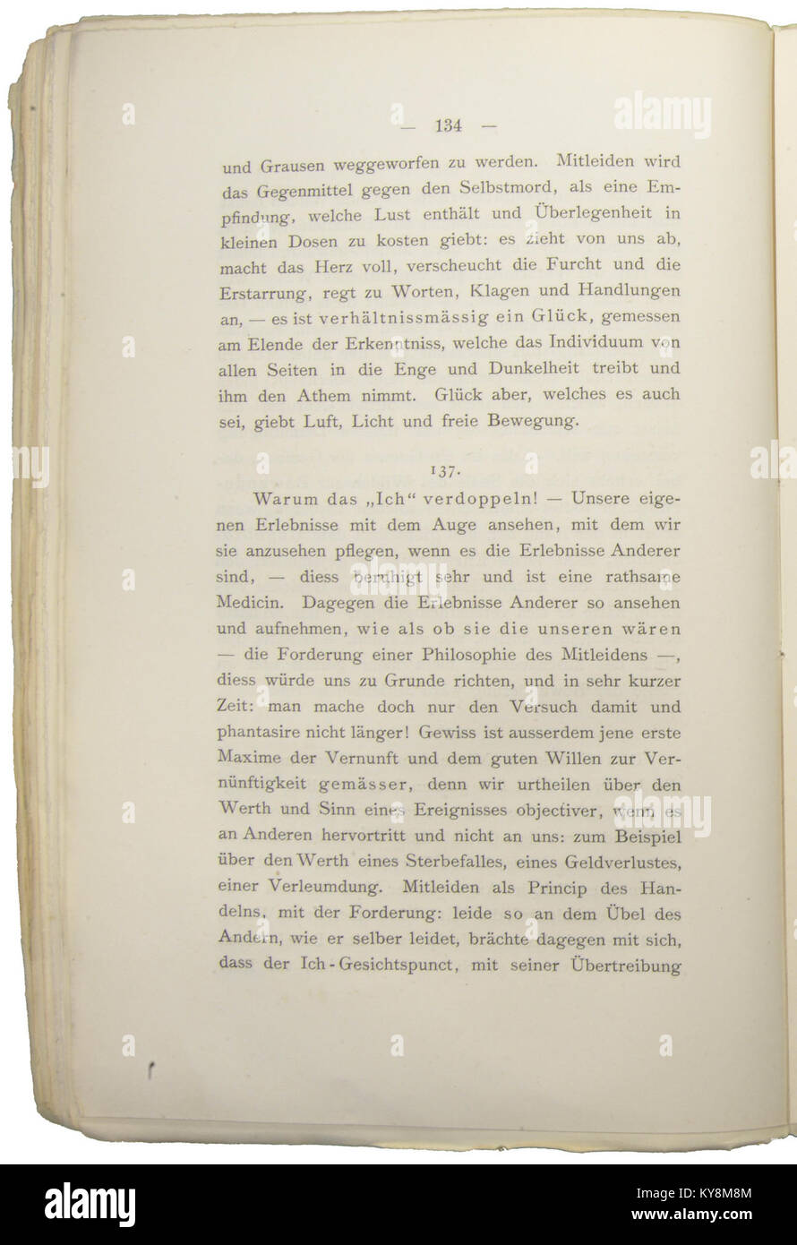 Nietzsche - Morgenröthe, 1881, p. 134 Stock Photo
