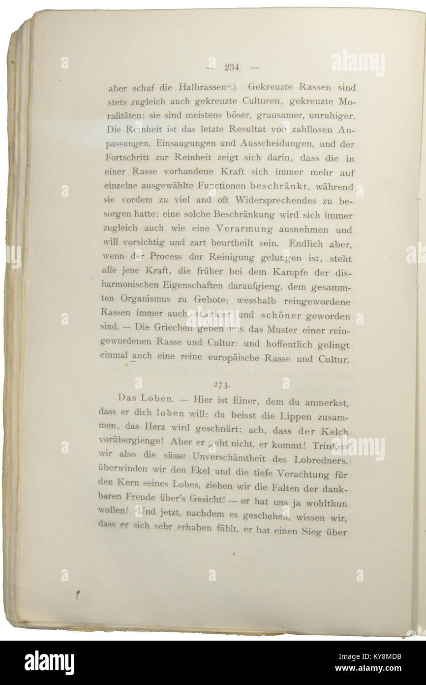 Nietzsche - Morgenröthe, 1881, p. 234 Stock Photo