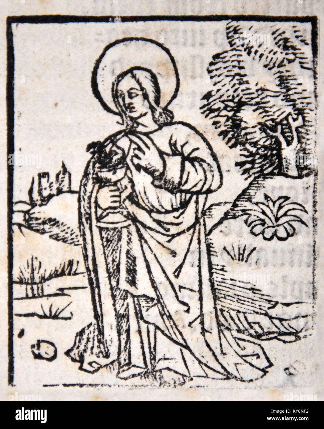 Illustration of an apostle from a Title Page in William Tyndale's 1538 edition of the English New Testament, which showed the English text and Erasmus' Latin text. From the Reed Rare Books Collection in Dunedin, New Zealand. Stock Photo
