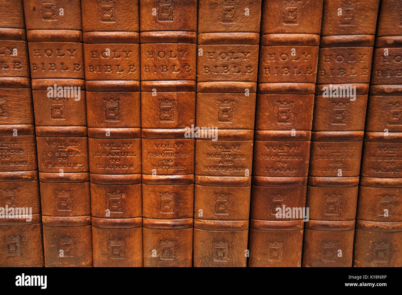 Row of spines from several volumes of the Holy Bible. From the Reed Rare Books Collection in Dunedin, New Zealand. Stock Photo