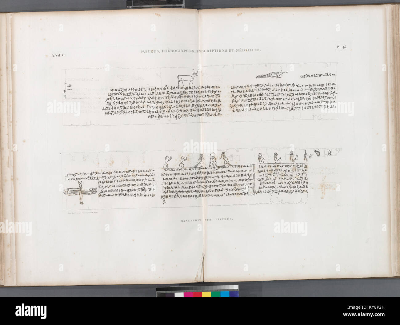 Papyrus, hiéroglyphes, inscriptions et médailles. Manuscrit sur papyrus (NYPL b14212718-1268213) Stock Photo